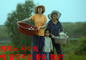 카지노 사이트